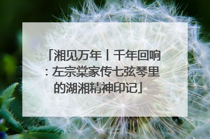 湘见万年丨千年回响：左宗棠家传七弦琴里的湖湘精神印记
