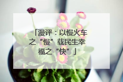 漫评：以慢火车之“慢”载民生幸福之“快”