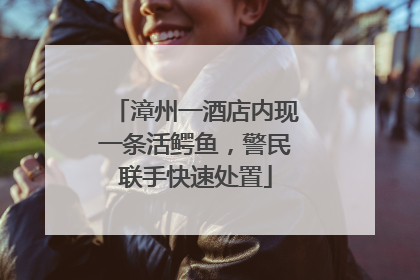 漳州一酒店内现一条活鳄鱼，警民联手快速处置