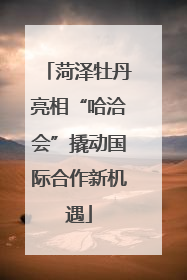 菏泽牡丹亮相“哈洽会”撬动国际合作新机遇