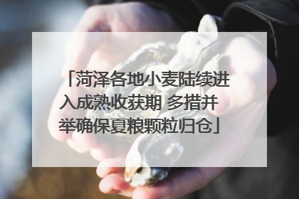 菏泽各地小麦陆续进入成熟收获期 多措并举确保夏粮颗粒归仓