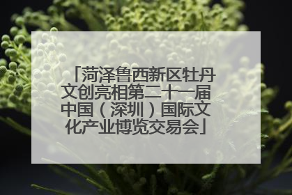 菏泽鲁西新区牡丹文创亮相第二十一届中国（深圳）国际文化产业博览交易会