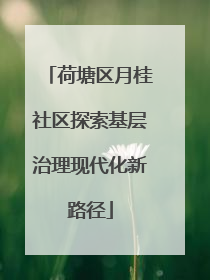 荷塘区月桂社区探索基层治理现代化新路径