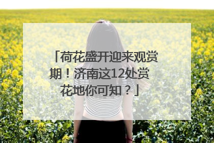 荷花盛开迎来观赏期！济南这12处赏花地你可知？
