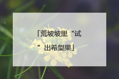 荒坡坡里“试”出希望果