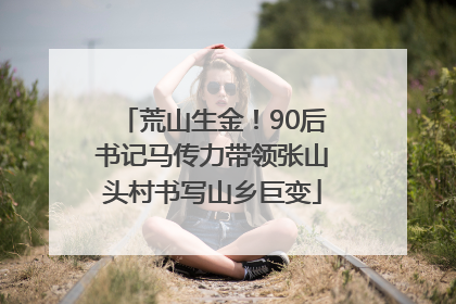荒山生金！90后书记马传力带领张山头村书写山乡巨变
