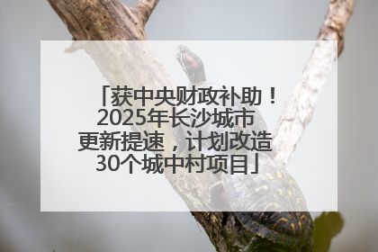 获中央财政补助！2025年长沙城市更新提速，计划改造30个城中村项目