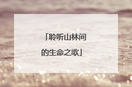 聆听山林间的生命之歌