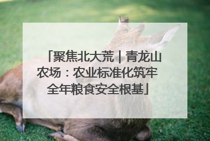 聚焦北大荒｜青龙山农场：农业标准化筑牢全年粮食安全根基