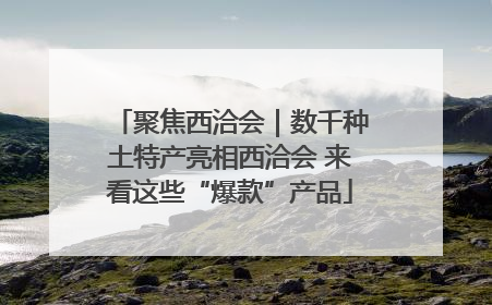 聚焦西洽会｜数千种土特产亮相西洽会 来看这些“爆款”产品
