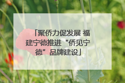 聚侨力促发展 福建宁德推进“侨见宁德”品牌建设