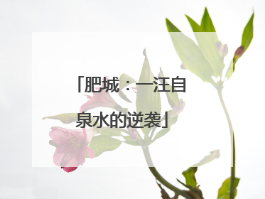 肥城：一汪自泉水的逆袭