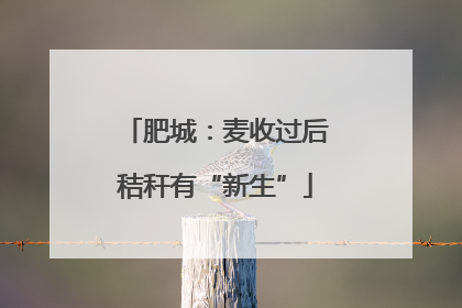 肥城：麦收过后秸秆有“新生”