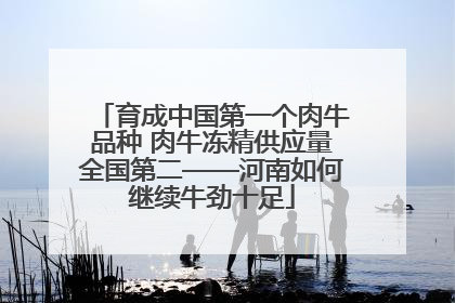 育成中国第一个肉牛品种 肉牛冻精供应量全国第二——河南如何继续牛劲十足
