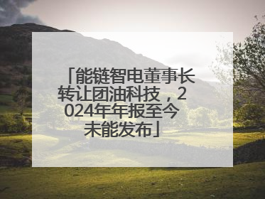 能链智电董事长转让团油科技，2024年年报至今未能发布