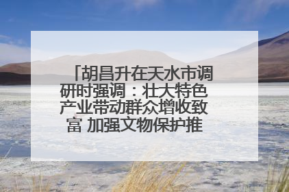 胡昌升在天水市调研时强调：壮大特色产业带动群众增收致富 加强文物保护推动文化创新发展