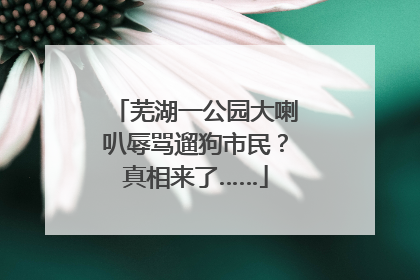 芜湖一公园大喇叭辱骂遛狗市民？真相来了……
