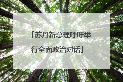 苏丹新总理呼吁举行全面政治对话