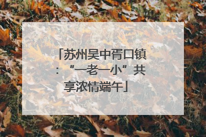 苏州吴中胥口镇：“一老一小”共享浓情端午