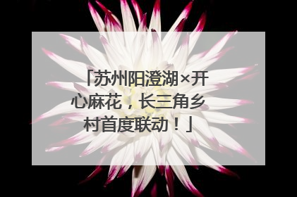 苏州阳澄湖×开心麻花，长三角乡村首度联动！