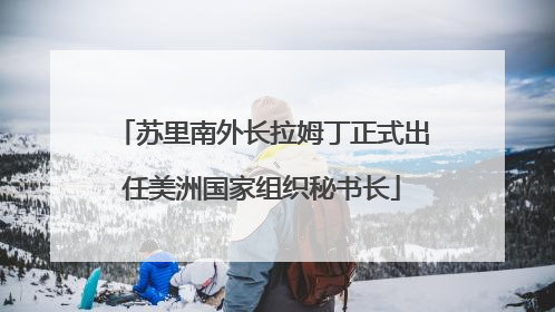 苏里南外长拉姆丁正式出任美洲国家组织秘书长