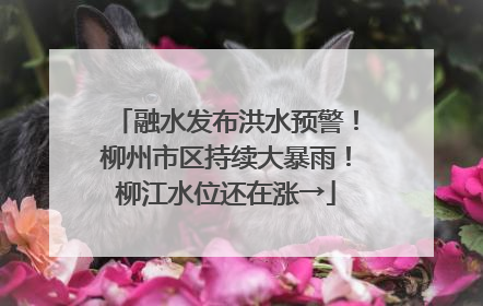 融水发布洪水预警！柳州市区持续大暴雨！柳江水位还在涨→