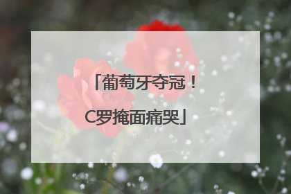 葡萄牙夺冠！C罗掩面痛哭