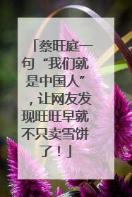 蔡旺庭一句“我们就是中国人”，让网友发现旺旺早就不只卖雪饼了！