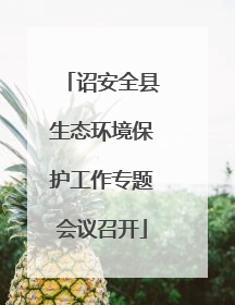 诏安全县生态环境保护工作专题会议召开