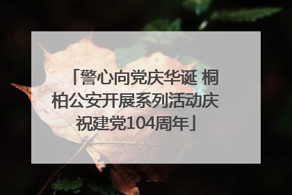 警心向党庆华诞 桐柏公安开展系列活动庆祝建党104周年