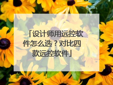 设计师用远控软件怎么选？对比四款远控软件