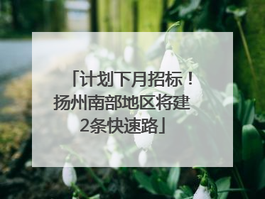计划下月招标！扬州南部地区将建2条快速路