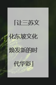 让三苏文化东坡文化焕发新的时代华彩