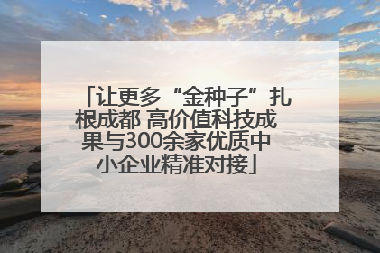 让更多“金种子”扎根成都 高价值科技成果与300余家优质中小企业精准对接