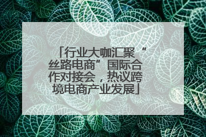 行业大咖汇聚“丝路电商”国际合作对接会，热议跨境电商产业发展