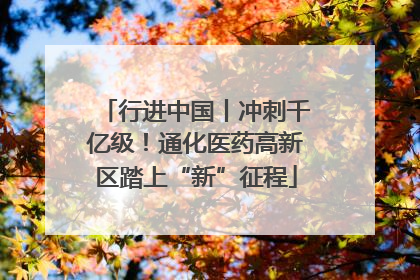 行进中国丨冲刺千亿级！通化医药高新区踏上“新”征程