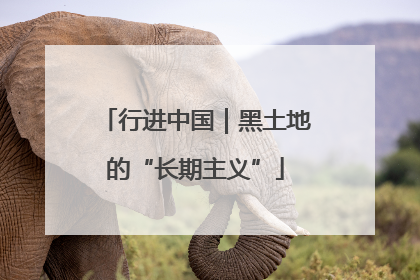 行进中国｜黑土地的“长期主义”