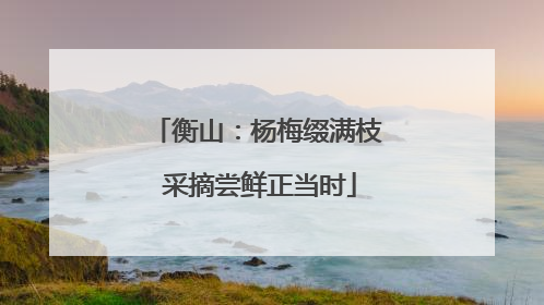 衡山：杨梅缀满枝 采摘尝鲜正当时