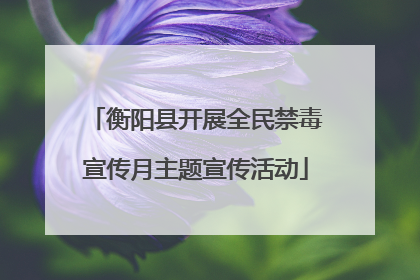 衡阳县开展全民禁毒宣传月主题宣传活动