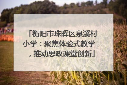 衡阳市珠晖区泉溪村小学：聚焦体验式教学，推动思政课堂创新