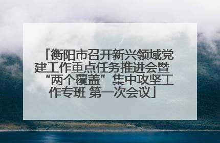 衡阳市召开新兴领域党建工作重点任务推进会暨“两个覆盖”集中攻坚工作专班 第一次会议