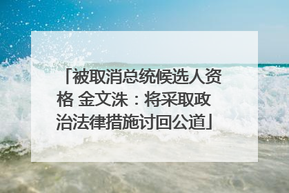 被取消总统候选人资格 金文洙：将采取政治法律措施讨回公道