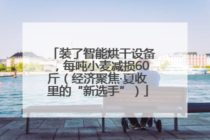 装了智能烘干设备，每吨小麦减损60斤（经济聚焦·夏收里的“新选手”）