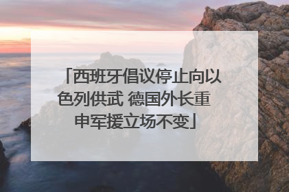 西班牙倡议停止向以色列供武 德国外长重申军援立场不变