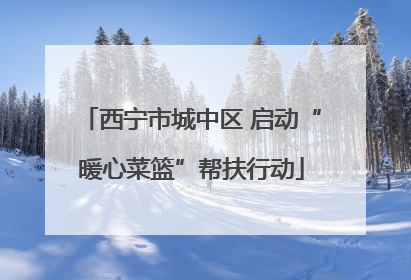 西宁市城中区 启动“暖心菜篮”帮扶行动