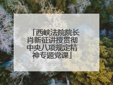 西峡法院院长肖新征讲授贯彻中央八项规定精神专题党课