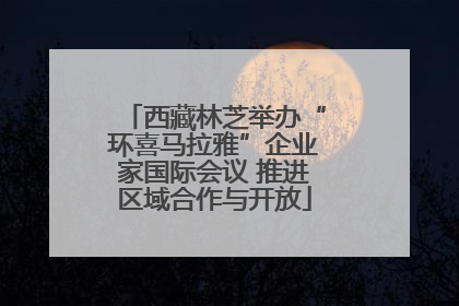 西藏林芝举办“环喜马拉雅”企业家国际会议 推进区域合作与开放