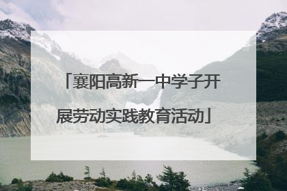 襄阳高新一中学子开展劳动实践教育活动