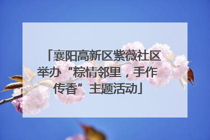 襄阳高新区紫薇社区举办“粽情邻里，手作传香”主题活动