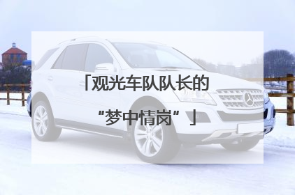 观光车队队长的“梦中情岗”